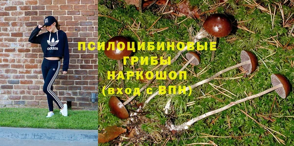 бутират Баксан